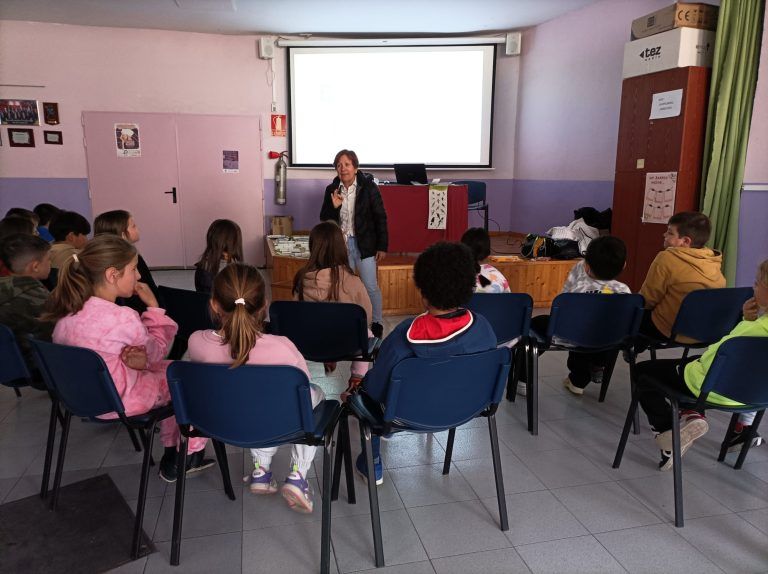 Actividades Noviembre Mujeres Picarral